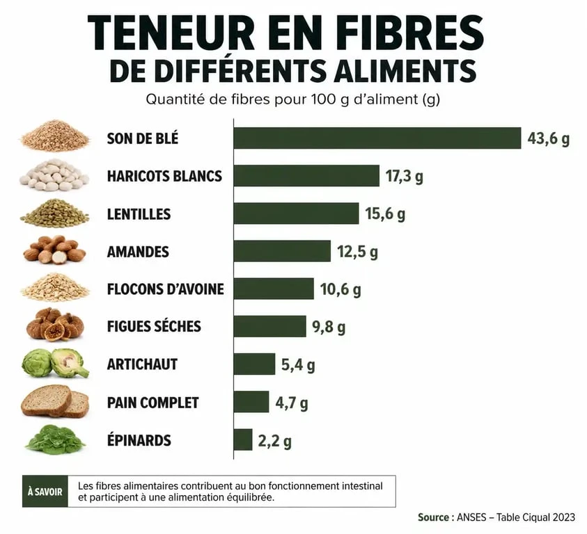 Infographie comparative des aliments riches en fibres pour soulager la constipation