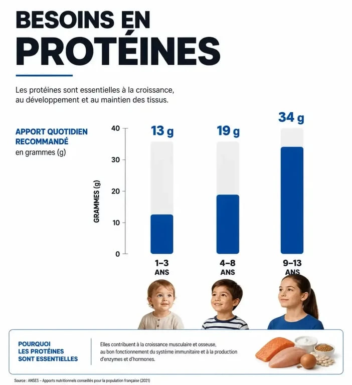 Infographie des besoins journaliers en protéines pour enfant selon l'âge pour un goûter équilibré
